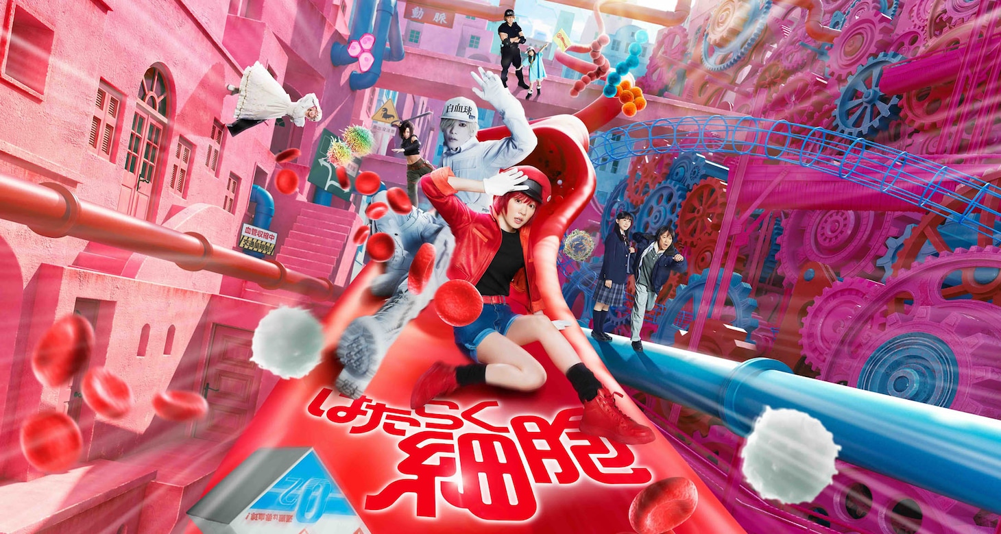 「はたらく細胞」(c)清水茜／講談社 (c)原田重光・初嘉屋一生・清水茜／講談社 (c)2024映画「はたらく細胞」製作委員会