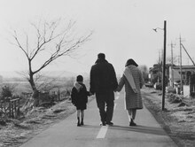 「となりのトトロ」9日間限定で上映、東京・調布のシネマフェスティバルで