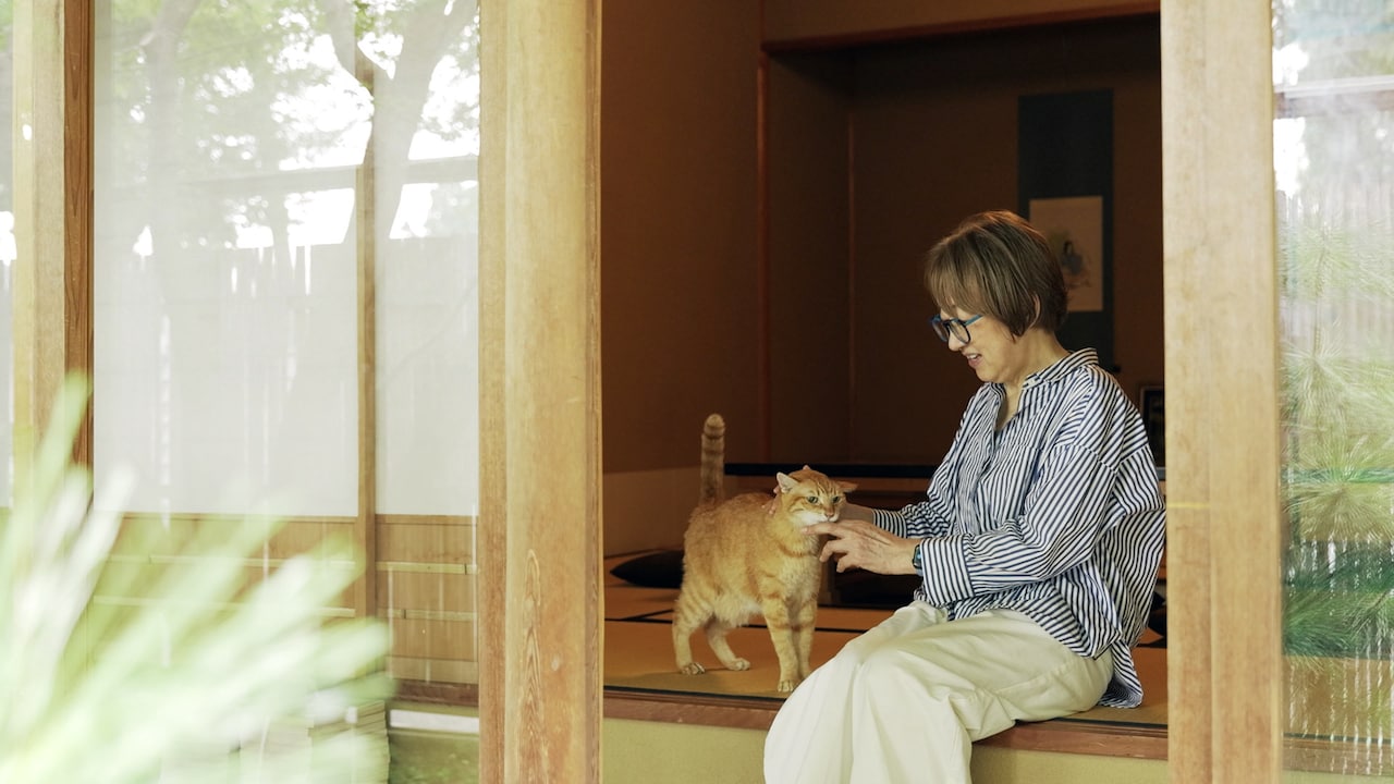 「ネコメンタリー 猫も、杓子も。」よりモンドと山下和美