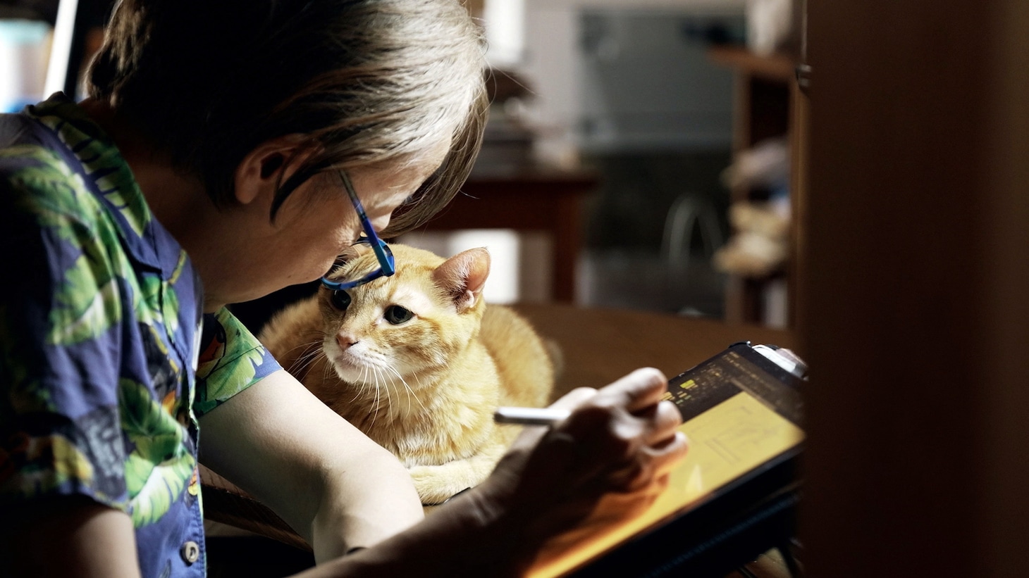 山下和美＆愛猫・モンドがNHKのドキュメンタリー出演、足元と寝室を行ったり来たり