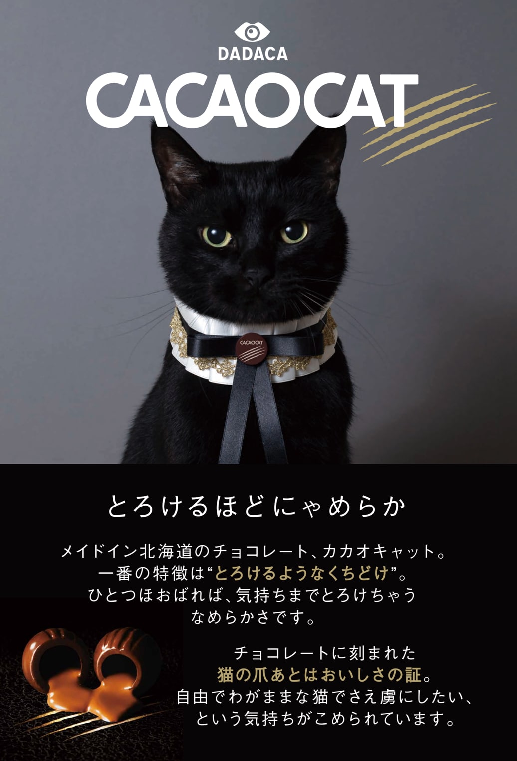 CACAOCAT - 「セーラームーン」10戦士のときめくデザイン缶入りチョコ