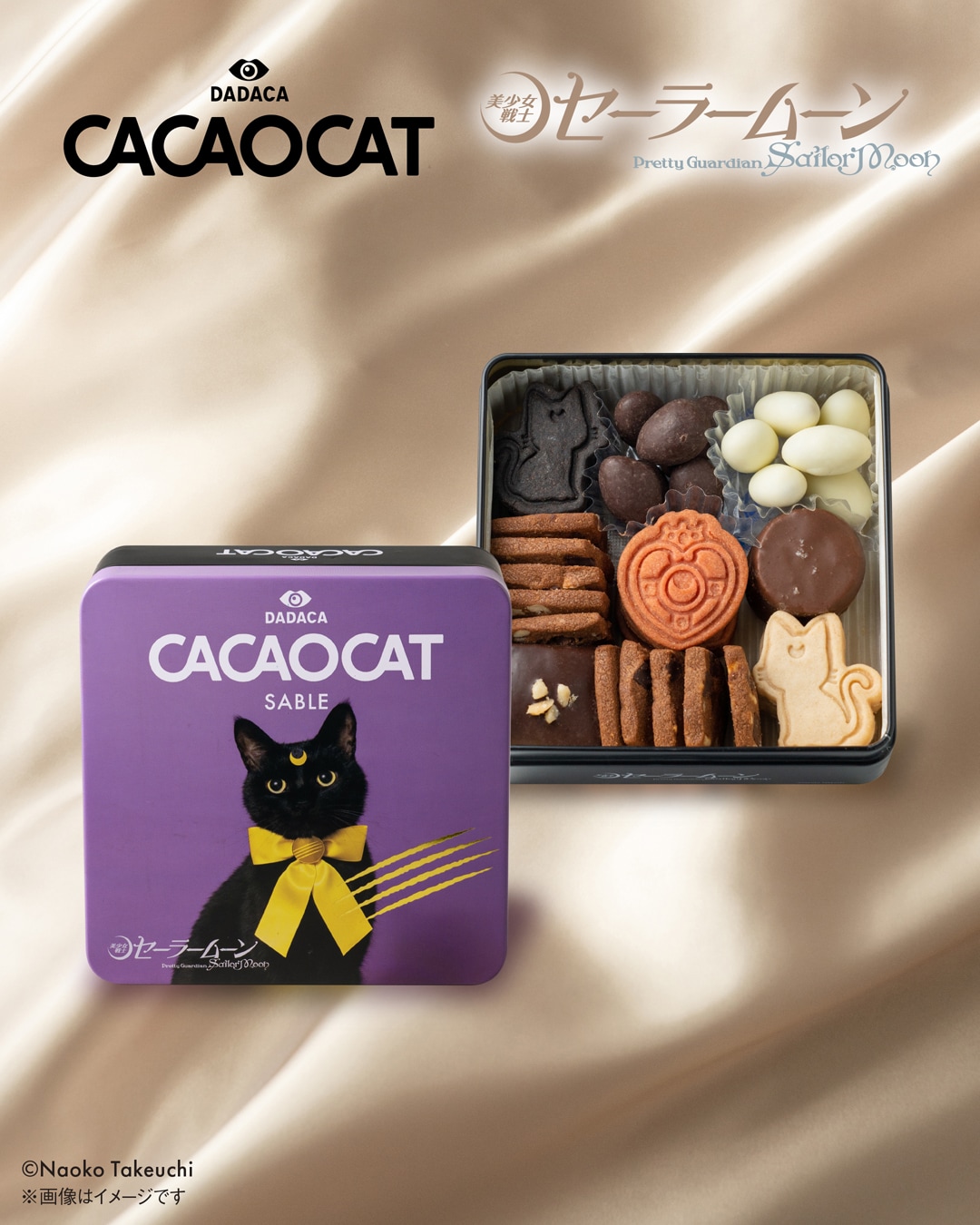 sailormoon_cacaocat_choco_0000