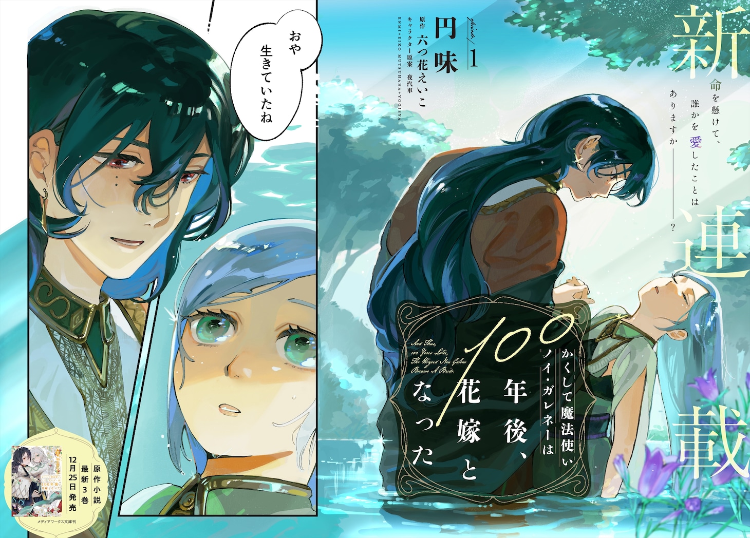 「かくして魔法使いノイ・ガレネーは100年後、花嫁となった」より