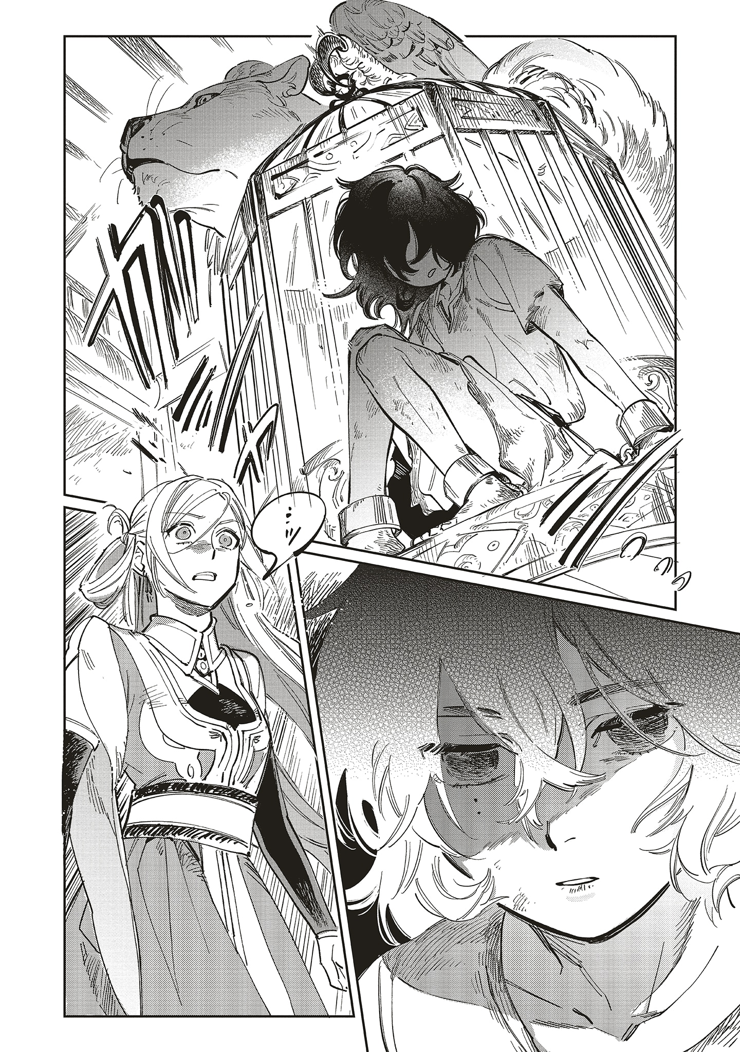 「かくして魔法使いノイ・ガレネーは100年後、花嫁となった」より