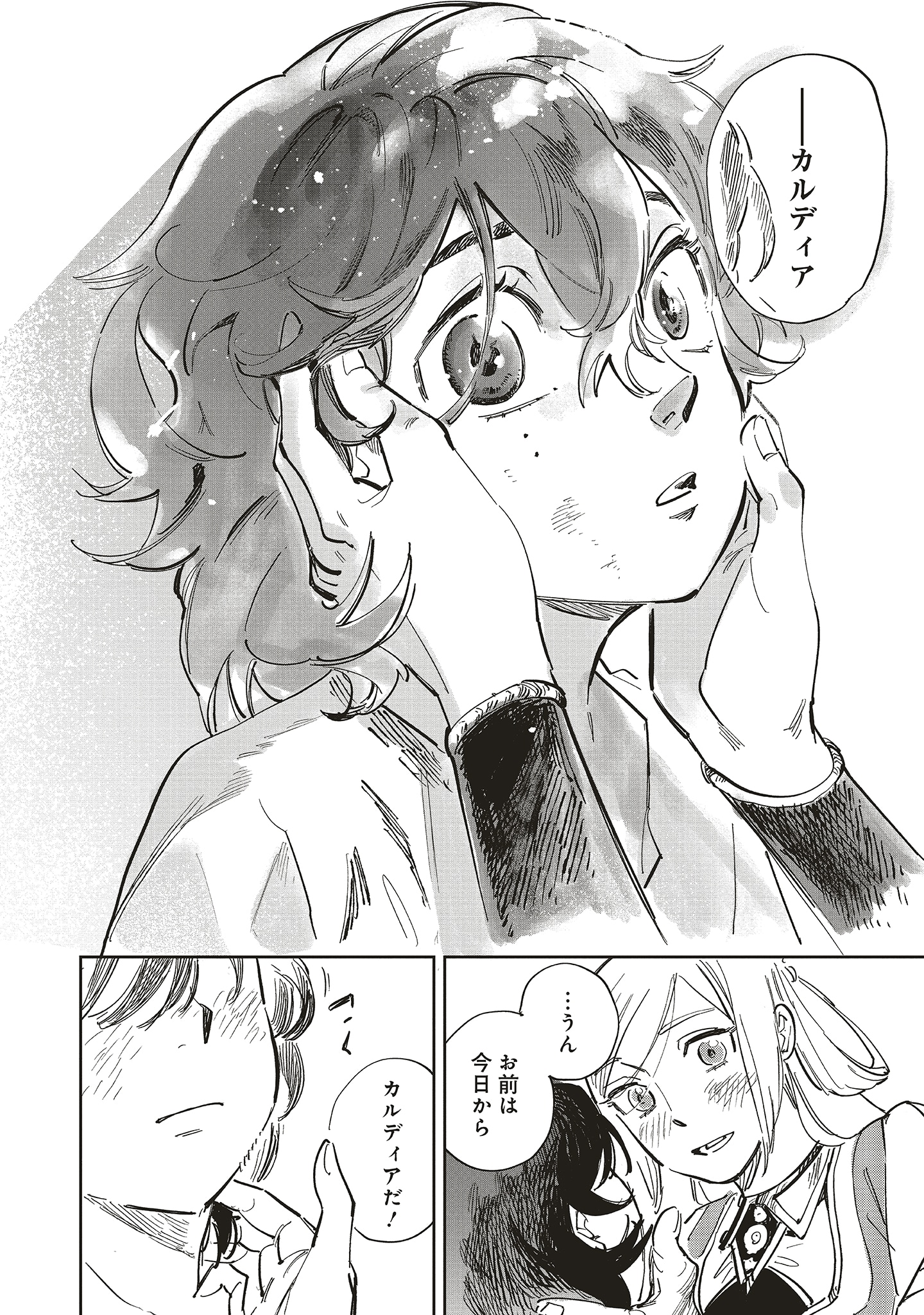 「かくして魔法使いノイ・ガレネーは100年後、花嫁となった」より