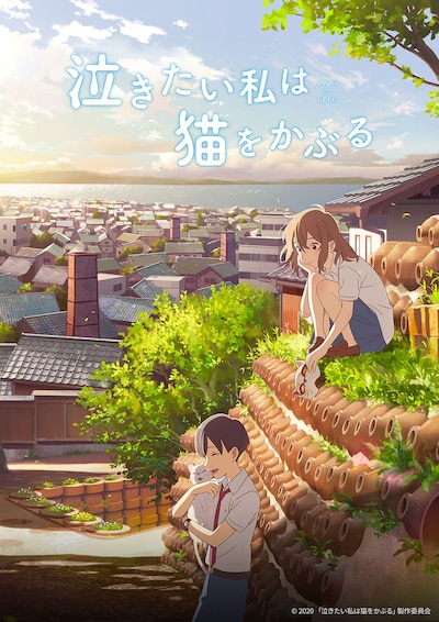 「泣きたい私は猫をかぶる」キービジュアル