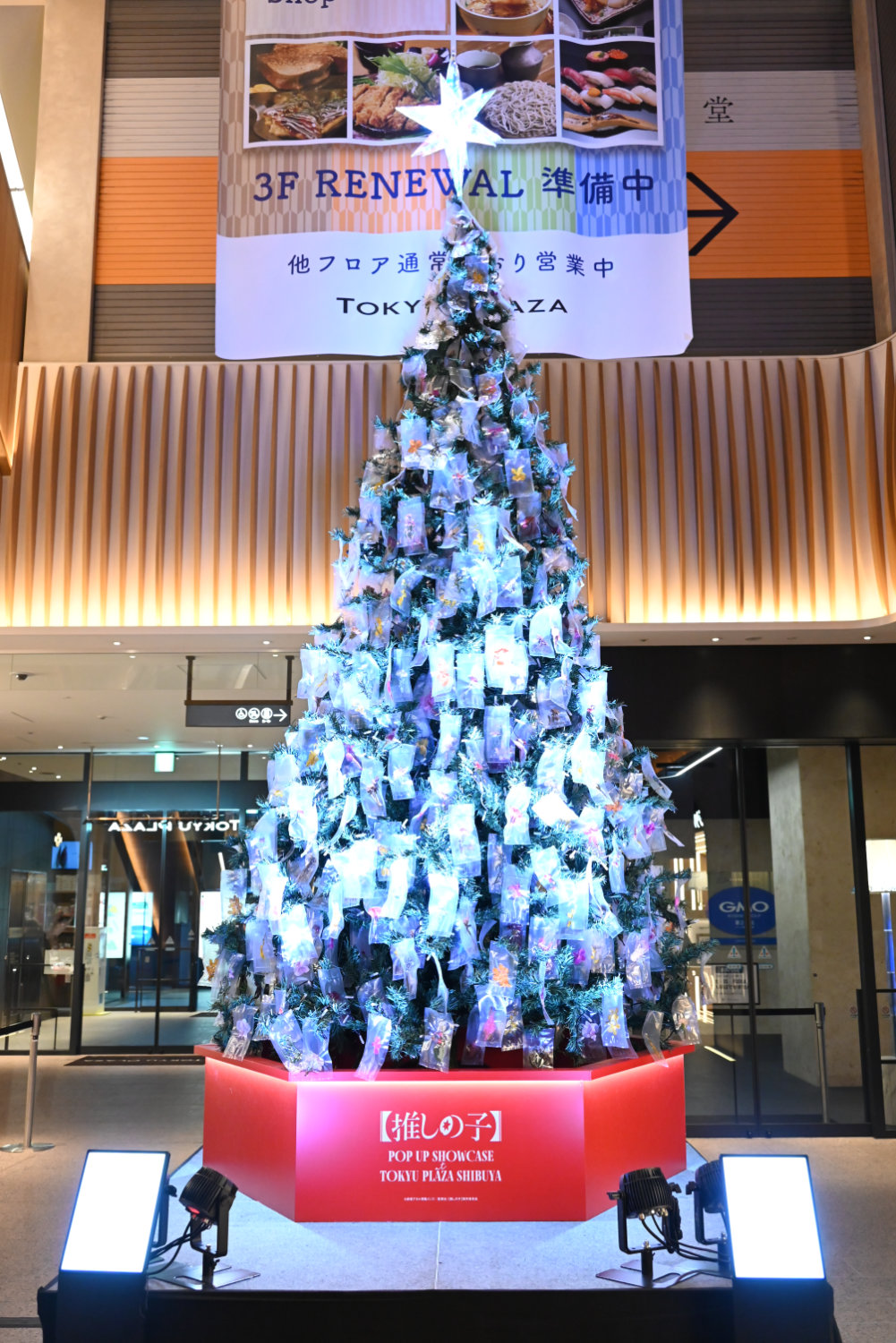 点灯式直前のクリスマスツリー