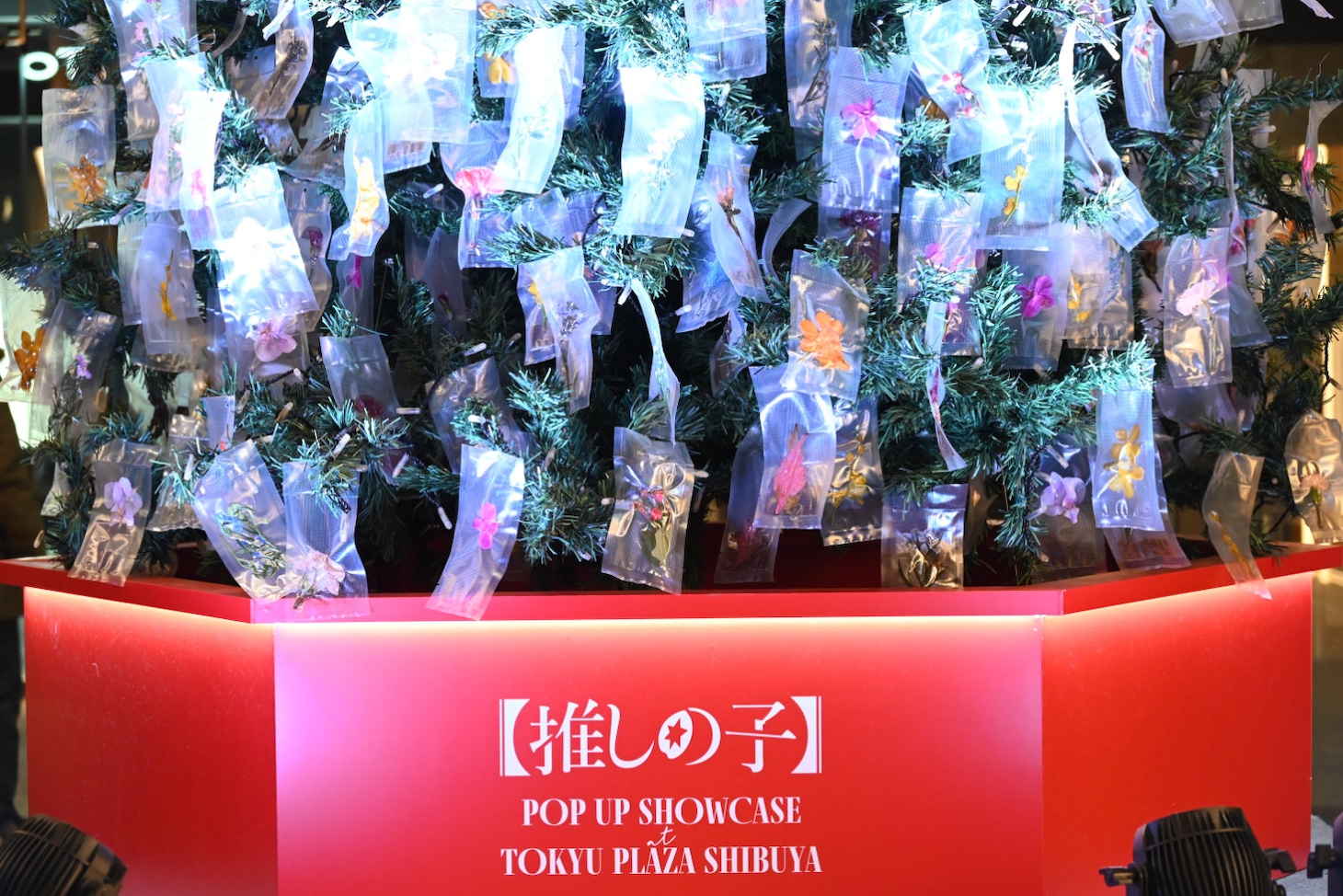 点灯式直前のクリスマスツリー