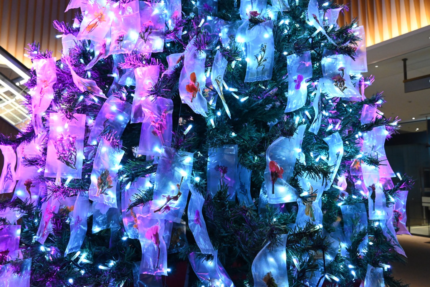 点灯式後のクリスマスツリー