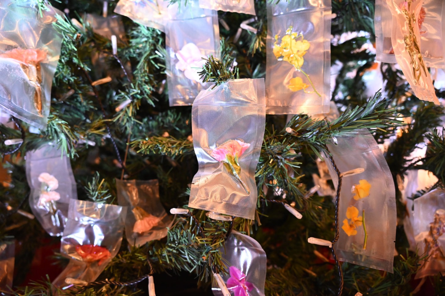 生花を真空パックに閉じ込めた装飾品