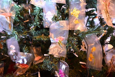 生花を真空パックに閉じ込めた装飾品