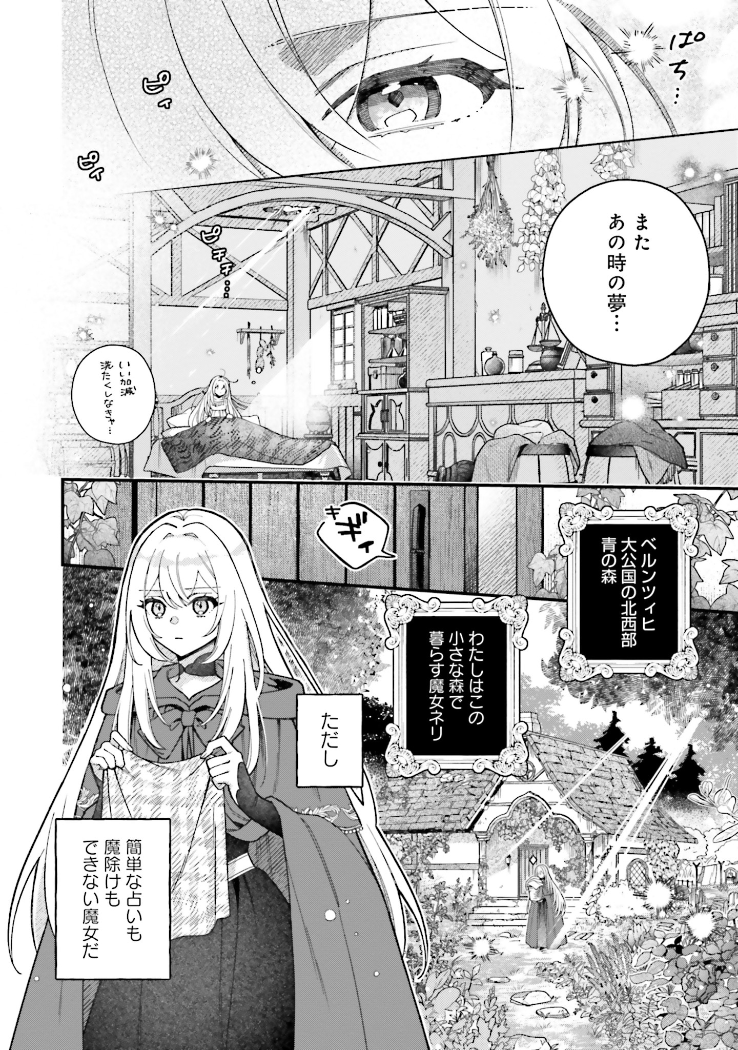 「魔女の婚姻 偽花嫁と冷酷騎士の初恋」より