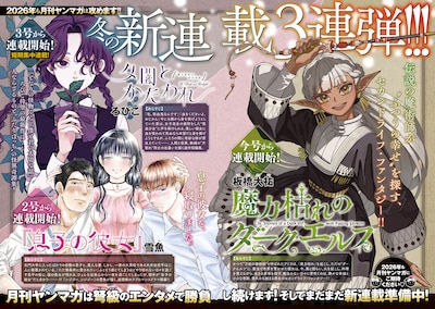 月刊ヤングマガジン新連載告知ページ