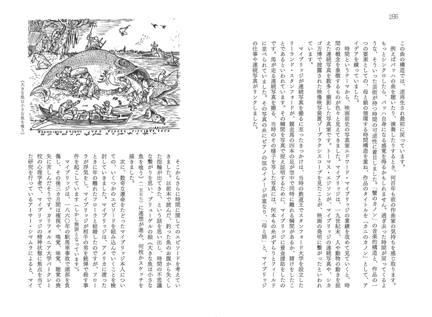 「アニメーション・ネイチャー」中面