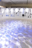 「『ラフ』ゾーン」の様子