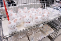 グッズショップの様子