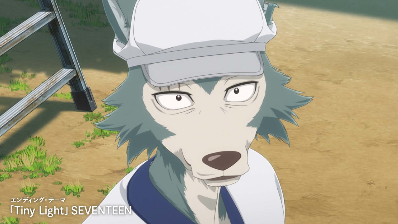 アニメ「BEASTARS FINAL SEASON」Part2メインPVより