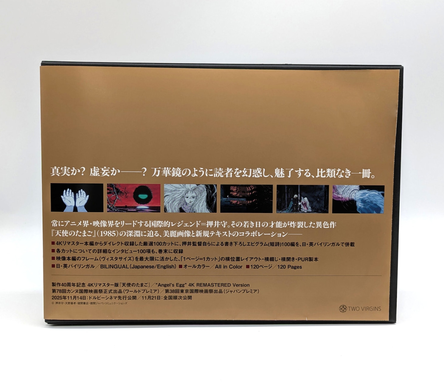 「天使のたまご THE VISUAL COLLECTION」イメージ画像