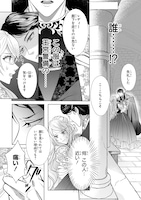「騎士団長！ 私は不審者ではありません！ まして、婚約者になんてなれません！ THE COMIC」より (c)Raiji (c)Maina Ibuki