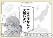 「ニイガタの嫌いなところ」を公募