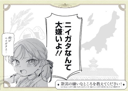 「ニイガタの嫌いなところ」を公募