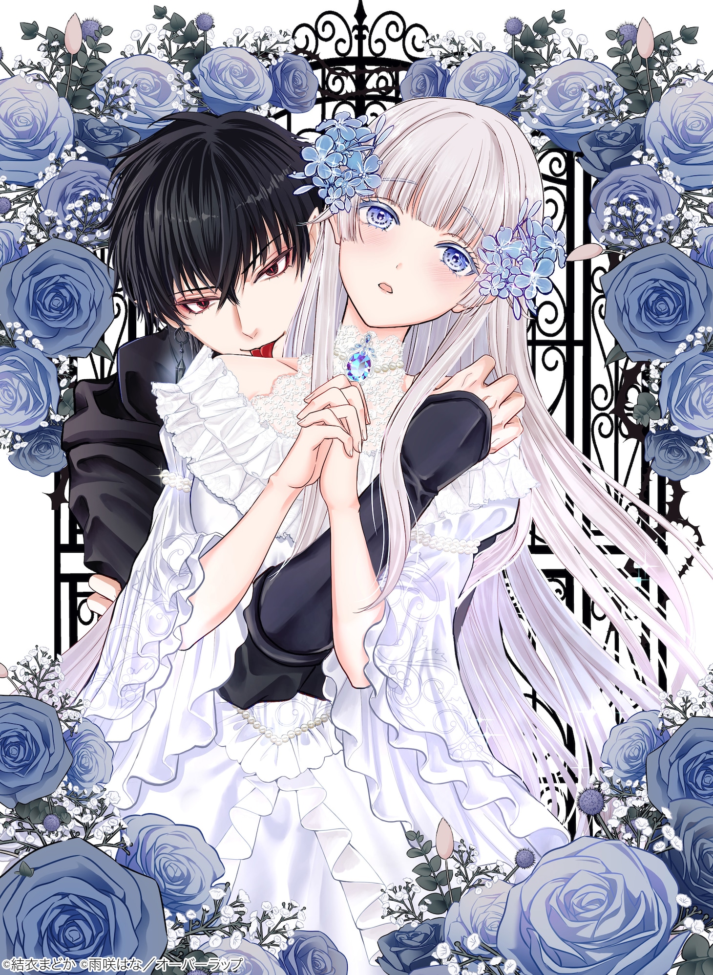 「生贄姫の幸福 ～孤独な贄の少女は、魔物の王の花嫁となる～」メインビジュアル