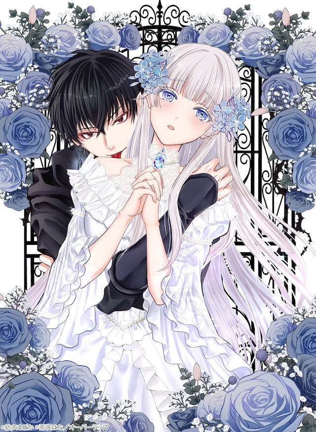 「生贄姫の幸福 ～孤独な贄の少女は、魔物の王の花嫁となる～」メインビジュアル