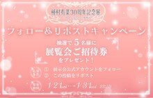 「種村有菜 30周年記念展 きらめく少女たちの夢物語」キャンペーン告知画像