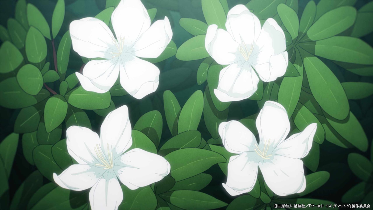 「ワールド イズ ダンシング」TVアニメ化決定PVカット