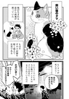 「育ちすぎたタマ～うちの飼い猫が世界最強になりました!?～」試し読み（6/8）