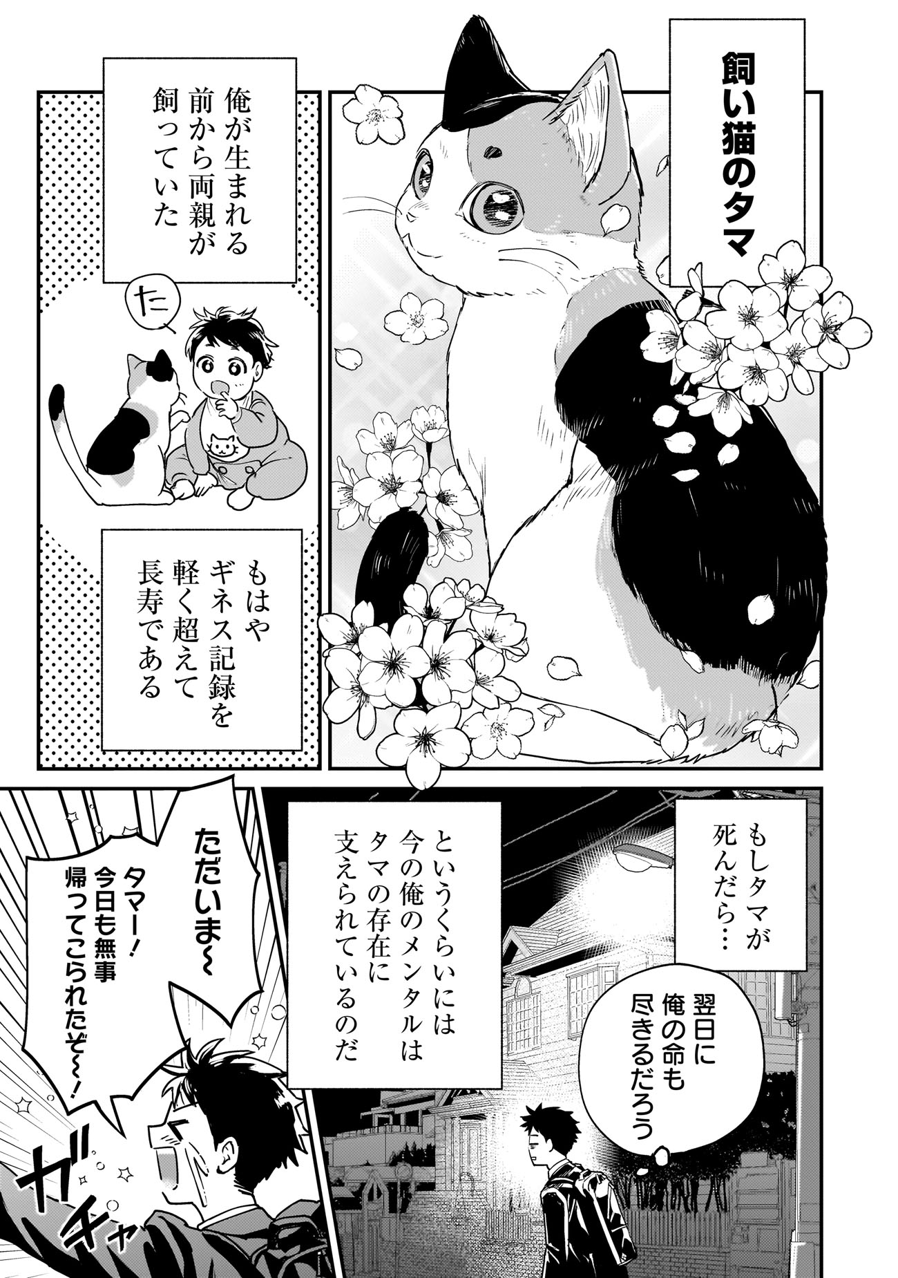 「育ちすぎたタマ～うちの飼い猫が世界最強になりました!?～」試し読み（6/8）