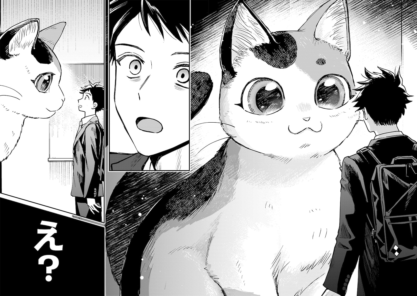 「育ちすぎたタマ～うちの飼い猫が世界最強になりました!?～」試し読み（7/8）