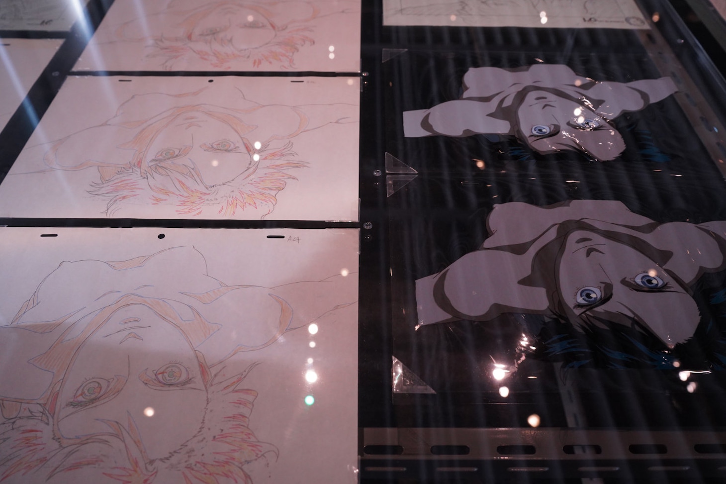 「GHOST IN THE SHELL / 攻殻機動隊」の資料 (c)1995士郎正宗／講談社・バンダイビジュアル・MANGA ENTERTAINMENT