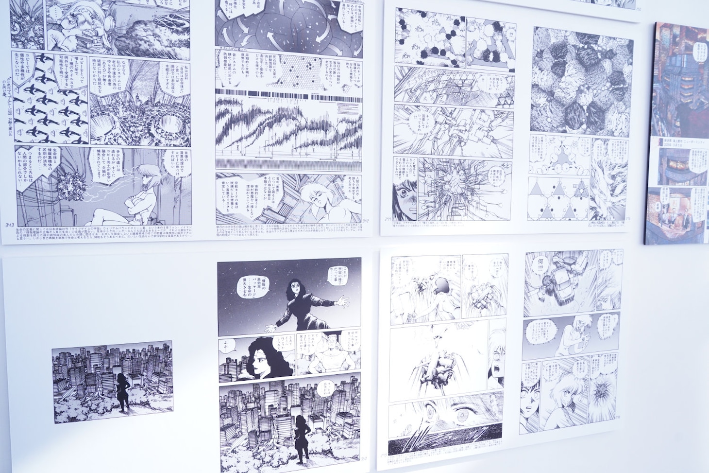 士郎正宗による原作の展示物 (c)士郎正宗／講談社