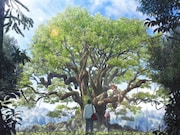 アニメ映画「クスノキの番人」より