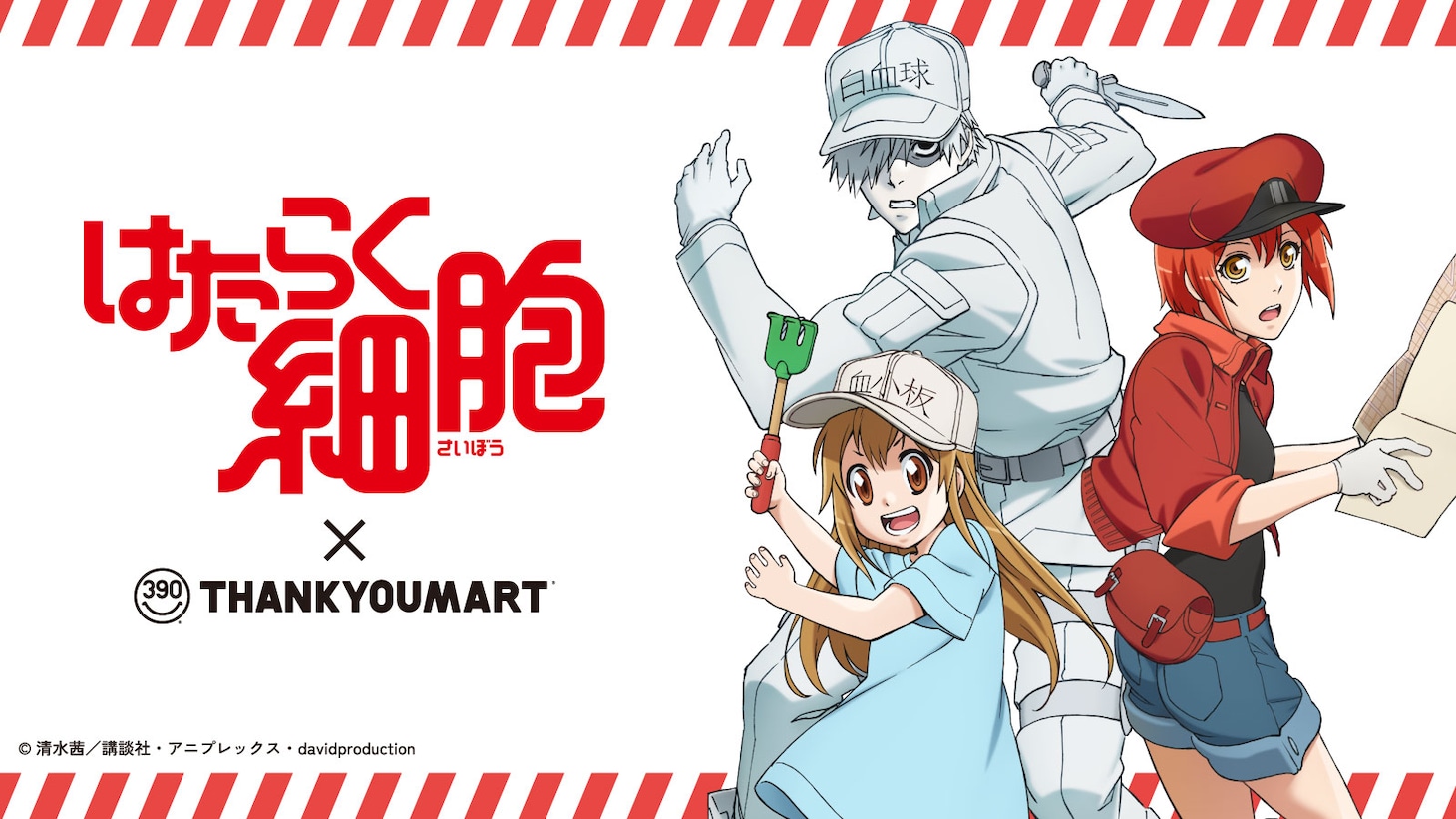 TVアニメ「はたらく細胞」とサンキューマートのコラボ雑貨の告知画像