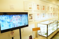 「ユリ熊嵐展-10th anniversary-」会場内の様子