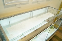 「ユリ熊嵐展-10th anniversary-」会場内の様子