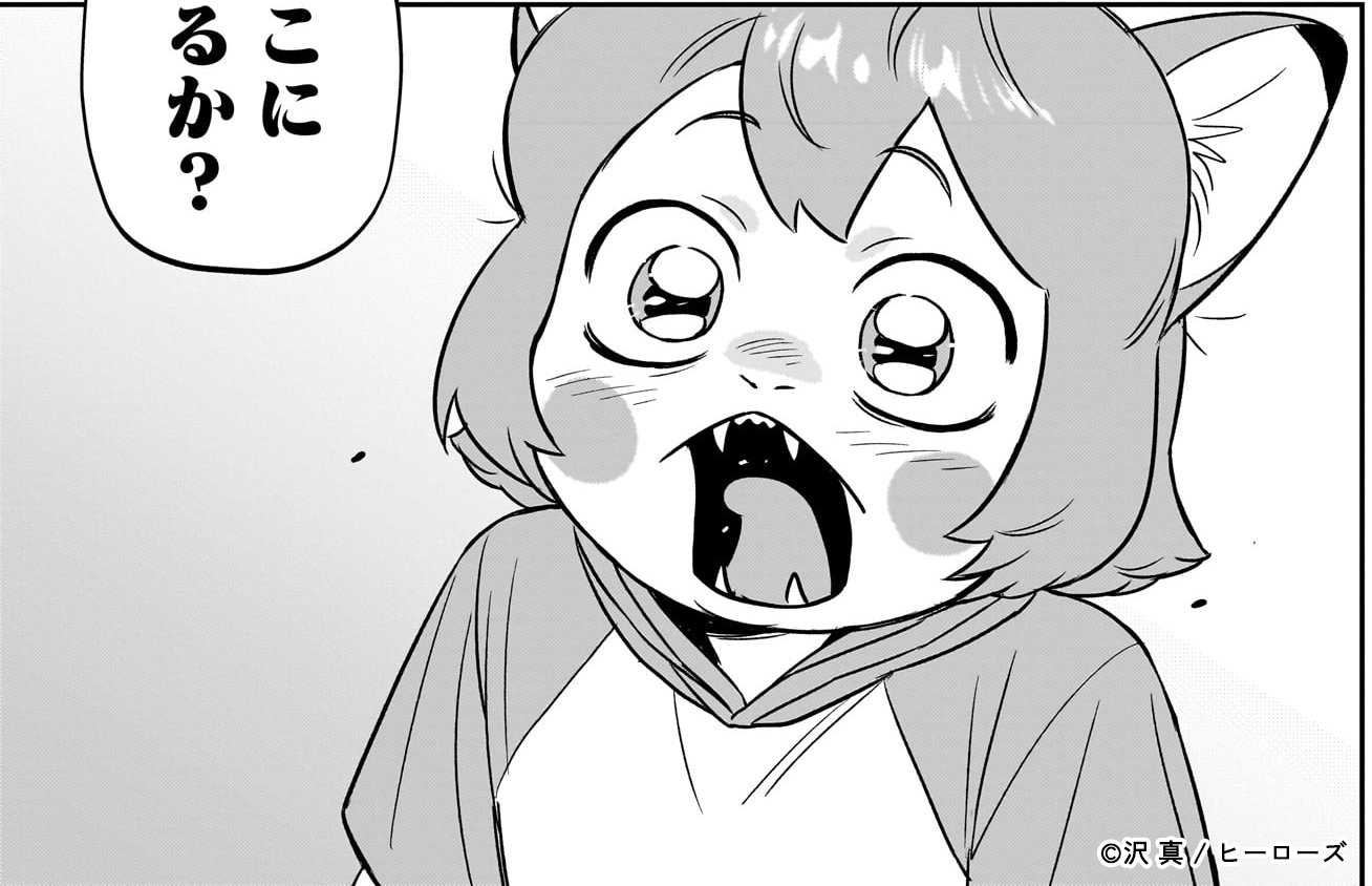 「となりのダイダイ」より