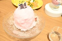 「チョッパーとドラムロックアイスプレート」