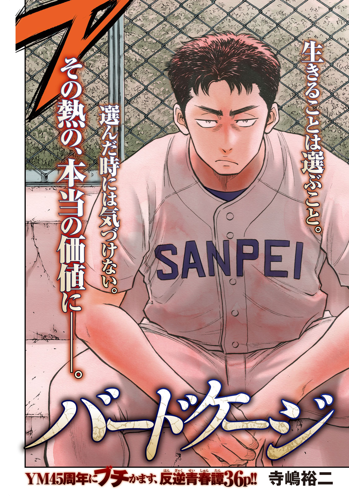 「バードケージ」より