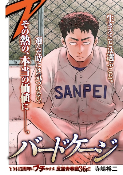 「バードケージ」より