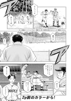 「バードケージ」より