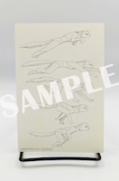 特典のポストカード