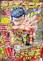 週刊漫画ゴラク2月27日号