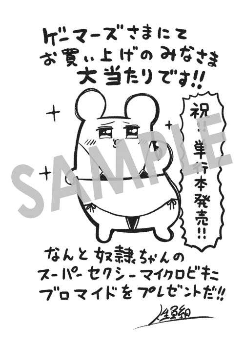 ゲーマーズで購入するともらえる描き下ろしブロマイド。