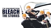 「TV ANIMATION 『BLEACH』 THE STORIES」
