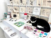 猫の横丁＠長江CUBE