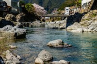 郡上八幡の吉田川