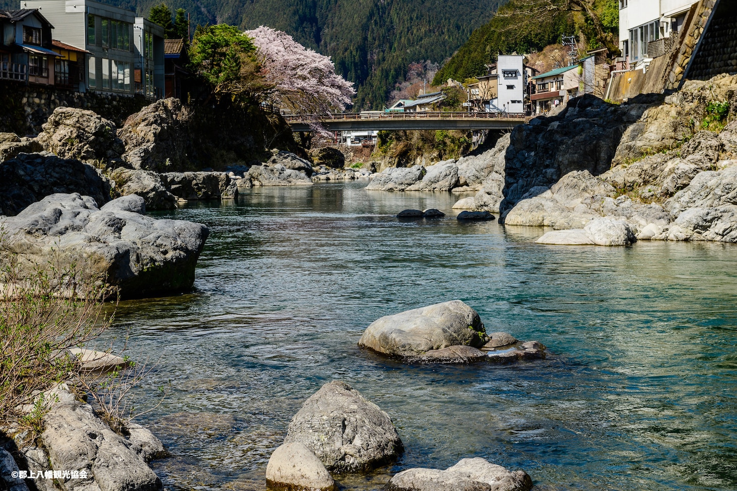 郡上八幡の吉田川